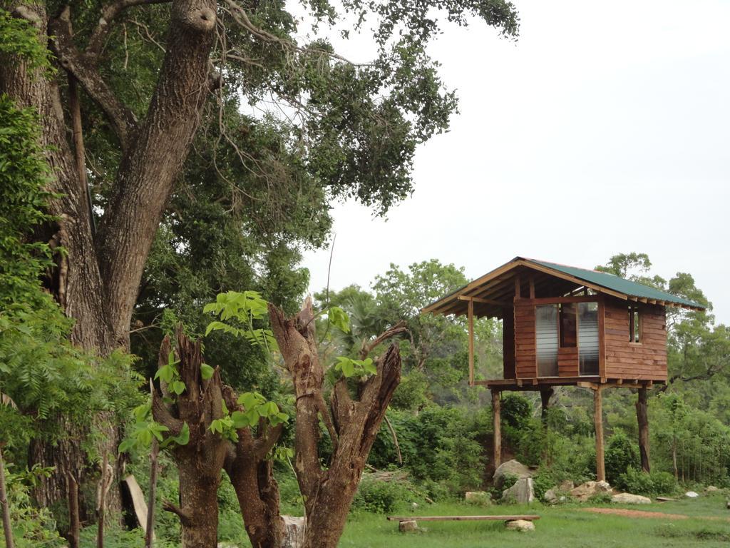 Sigiri Forest View Sigirîya Extérieur photo