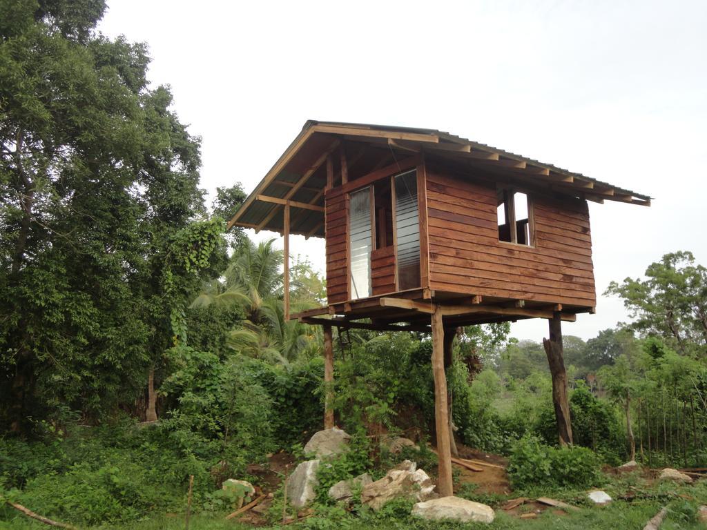 Sigiri Forest View Sigirîya Chambre photo