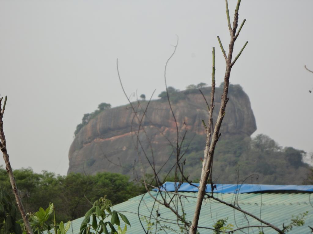 Sigiri Forest View Sigirîya Extérieur photo