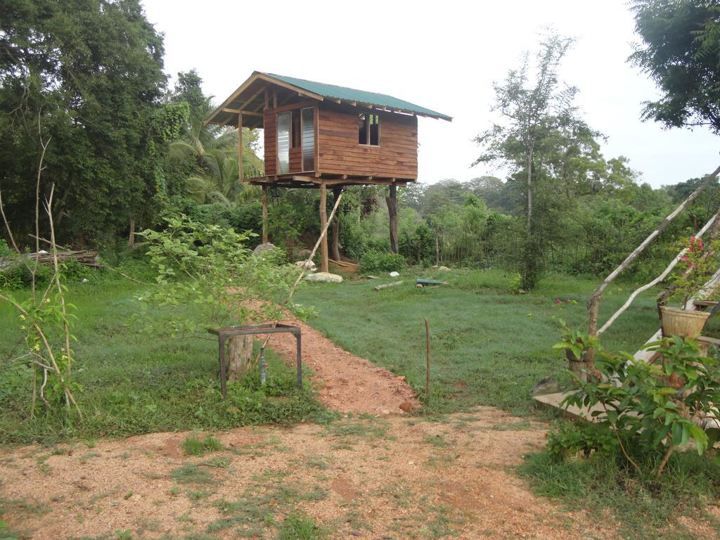 Sigiri Forest View Sigirîya Extérieur photo