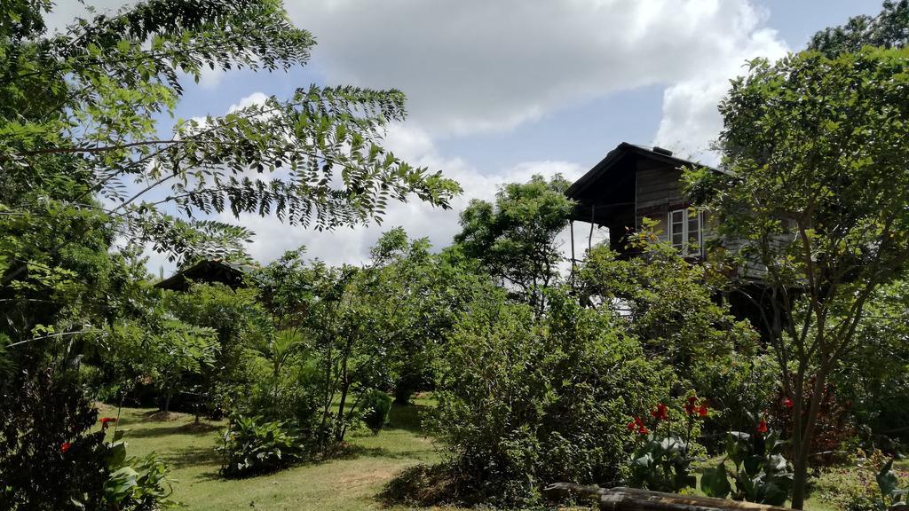 Sigiri Forest View Sigirîya Extérieur photo